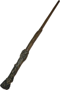 Bacchetta